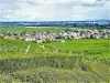 Panorama sur Wintzenheim depuis le gîte d'étape romain (© J.E)