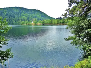 Lac de Longemer - Site naturel à Xonrupt-Longemer