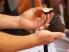 La Fête de la truffe - Évènement à Sarlat-la-Canéda