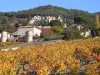 Vue sur Gigondas, ses vignobles et le Clos des Tourelles