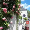 Relais de la Mothe - Holiday & weekend hotel in Yzeures-sur-Creuse