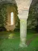 Аббатство Клермонт - Цистерцианское аббатство Нотр-Дам де Клермонт (или Клермонт): здание братьев беседует - погреб