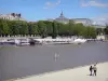 Банки Сены - Прогулка по Сене с видом на навес Гран-Пале и лодочные утки