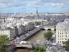 Банки Сены - Вид на Сену, парижские здания и Эйфелеву башню с высоты собора Нотр-Дам