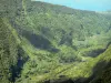 Бельведер дю Серре - Зеленый пейзаж из бельведера Серре