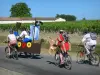Бордо виноградник - Médocaine, экскурсионный поход, с его замаскированными горными байкерами, пересекающими дороги Médoc
