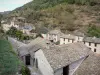 Брус-ль-Шато - Вид на крыши села