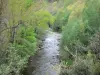 Валлеспир - Техническая Долина: Техническая Река, усаженная деревьями