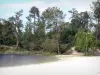 Ведомственный домен хостенов - Региональный природный парк Ланд-де-Гасконь: пляжная и озерная природная территория в зелени