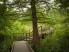 Ведомственный парк Соссе - Маршрут, обнаруженный среди растительности