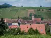 Винный путь - Деревня Риквир и холм, покрытый виноградниками на заднем плане