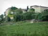 Виноградник Гайлака - Дома с видом на виноградник (виноградник Gaillac)