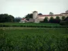 Виноградник Гайлака - Поля виноградников, деревьев и дома (Gaillac виноградник)
