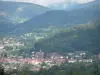 Вогезы Сануа - Город, окруженный холмами и горами, покрытыми лесами (Региональный природный парк Ballons des Vosges)