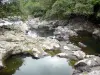 Говяжий тазик - Река Сент-Сюзанна выстлана растительностью