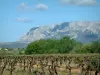 Гора Сент-Виктуар - Гора Сент-Виктуар с видом на поле виноградников и деревьев