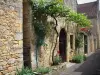 Госпожа - Каменные дома с виноградными лозами и розами (розами), в долине Дордонь, в Перигоре