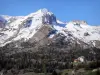Деволюй Массив - Ели, шале и заснеженные горные вершины (снег)