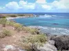 Дезирада - Прибрежный пейзаж острова Дезирад с видом на Атлантический океан