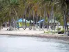 Дезирада - Вид на пляж в Фифи с кокосовыми пальмами и барбекю