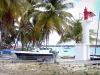 Дезирада - Кокосовые пальмы и лодки из порта Босежур