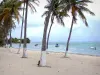 Дезирада - Кокосовые пальмы на пляже в Фифи