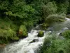 Долина Дессубре - Река Дессубре с деревьями и кустами