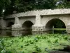 Долина Йеррес - Старый мост Бусси-Сен-Антуан, охватывающий реку Йеррес, и водные растения на переднем плане