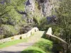 Долина Кюре - Пьер-Пертуи: Пон-де-Тернос или старый мост через Ла-Кюре, скалы и деревья