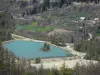 Долина Черного Драка - План воды, лугов и деревьев; в Champsaur, в национальном парке Экрин