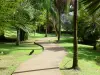 Дом Климента - Прогулка по пальмовой роще нового парка