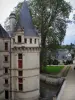 Замок Азай-ле-Ридо - Ренессансная башня замка, деревья и деревенские дома на заднем плане