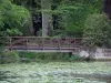 Замок Азай-ле-Ридо - Замковый парк: река (Эндр) с водяными лилиями, пешеходным мостом, кустами и деревьями