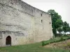 Замок Казенёв - Ограждение замка
