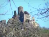 Замок Леотоинг - Вид на остатки замка