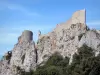Замок Пейрепертусе - Старый замок: низкий динамик и восточный отрог; в Корбьер