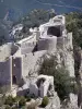 Замок Пейрепертусе - Вид на старый замок