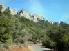 Замок Пейрепертусе - Обсаженная деревьями дорога с видом на крепость на скалистом мысе