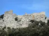 Замок Пейрепертусе - Крепость на скалистом мысе