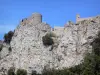 Замок Пейрепертусе - Катарская крепость расположилась на скалистом мысе