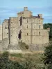 Замок Портес - Средневековая крепость и ее ренессансный бастион; в Севеннах