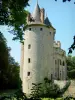 Замок Сен-Лу-сюр-Ту - Экскурсия по старому замку и рвам; в городе Сен-Лу-Ламайр