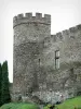 Замок Шувиньи - Зубчатая башня средневекового замка; в долине Сиуле (ущелья Сиуле)