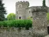 Замок Шувиньи - Зубчатые башни средневекового замка; в долине Сиуле (ущелья Сиуле)