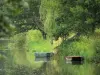 Зеленая Венеция Марэ Пуитевина - Мокрое болото: Sèvre niortaise, пришвартованные маленькие лодки и деревья на берегу