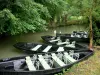 Зеленая Венеция Марэ Пуитевина - Мокрое болото: пришвартованные лодки (причал для прогулки на лодке), в Арсаисе