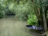 Зеленая Венеция Марэ Пуитевина - Мокрое болото: усаженная деревьями раковина и небольшая баржа