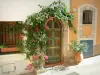 Йер - Вход в дом в старом городе с цветущей бугенвилией (бугенвиллеей) и лавром в горшке