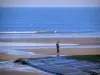 Кабург - Кот-Флери: песчаный пляж морского курорта с ходоком, во время отлива, морская птица в полете и море (Канал)