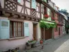 Кайзерсберг - Мощеная улица с маленькой собачкой и фахверковые дома с красочными фасадами